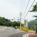 망천농장 Daum카페