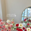 타티아르 이미지