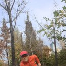 석성산 초당고앞 이미지