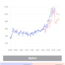 와이비스타 네이버블로그
