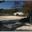 영오초등학교 Daum카페