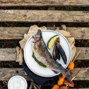 청송포레스트 이미지