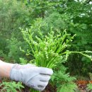 강교1리 이미지