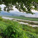 앞섬마을 이미지