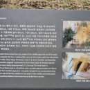 예인농장 이미지