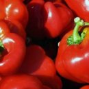 파라지움 이미지