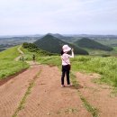 푸른솔목장 이미지