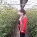 상월농장 이미지