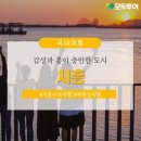 여행가 이미지