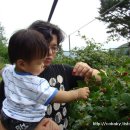 자상농장 이미지