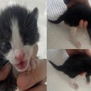 음암보건지소 이미지