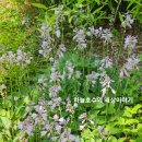 좌동산책길 이미지