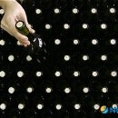 원낚시백화점 이미지