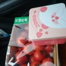 (주)뉴톤보청기 이미지