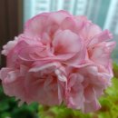 오니하우스 이미지