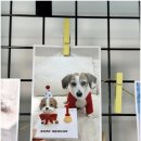 멍케이크 이미지