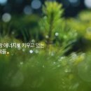 친환경태양목장 이미지