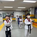 정석 에이스 태권도장 네이버블로그