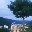 태성목장 2 이미지