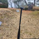 블랙배트 이미지