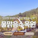 물나들이 | 아기랑 방문하기 좋은 남양주 나들이 코스 추천 @물맑음 수목원 재방문 후기: 생태체험프로그램 숲...