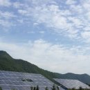 TG태양광발전소 이미지