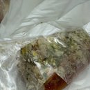 헬로우브리 | 대전 롯데백화점 성심당 먹빵 8만원 후기