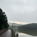 마음소리예술심리상담연구소 이미지
