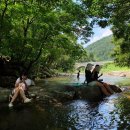 혜원네민박 이미지