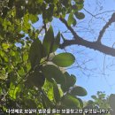 보물창고 이미지