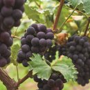 준희농장 이미지