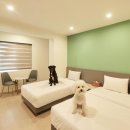 화상천로 이미지