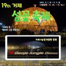 “꽃🌸과 불빛💛이 만난 순간✨ 제19회 거제섬꽃축제 야간개장 후기”📸