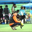 단양공설운동장 이미지