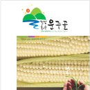 도암영농조합법인