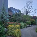 물소리길가 | 천안 나들이 추천 아름다운정원화수목 방문 후기 카페 포함