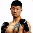 로드짐(ROAD GYM) | 성신여대 독사 MMA GYM 1년 다닌 후기