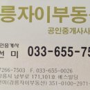더자이부동산중개사무소 이미지