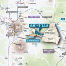 오포자이디오브3BL 이미지