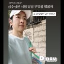 생체 2급 수영 실기 삼수생의 합격 D-Day