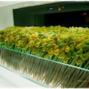 제주 유리의 성 이미지