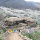 섬진농원 이미지