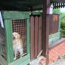 루비노펜션 | 가평 여행: 루비노 펜션