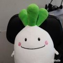 엘스타의원 이미지