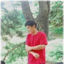 홍*완 Daum카페