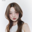 헤어선 - 구례군 상설시장길 4 | 헤어선