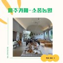 소풍농월 | 파주 카페 소풍농월 - 파주 아이와 가기 좋은 포토존 카페 후기