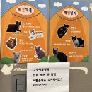 대전 근교 애견동반 오토 캠핑장 찾는다면 파크오브드림 글램핑