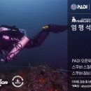 육뚜껑 네이버블로그
