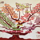 패밀리트리(family tree) 이미지